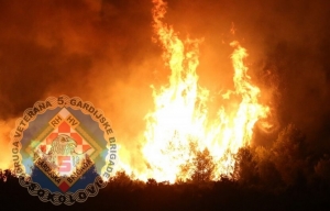 358873fad4914931314b94f2036b503a Generic