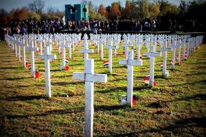 3d10c9c21f6f61faeefd4aa27b190def Generic