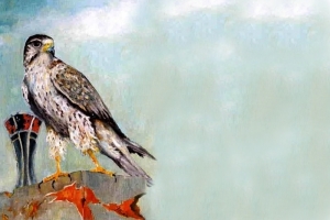 47b9371a5ec847a6416d19e09506ac86 Generic